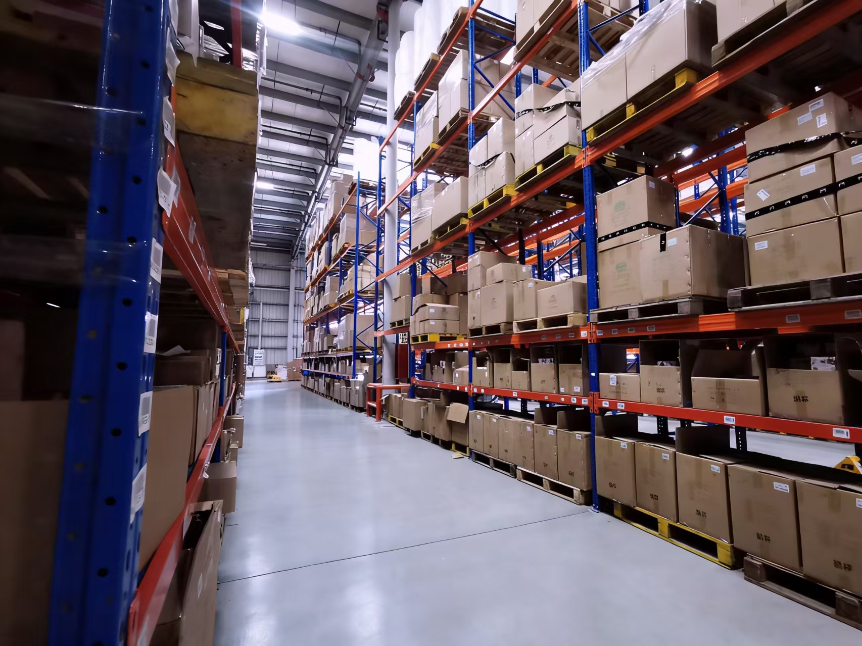 二十余载深耕，荣誉见证实力——星力仓储值得托付